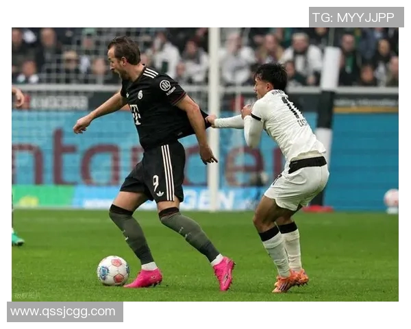 德甲再起航,球迷翘首期待新赛季的到来 德甲再起航,球迷翘首期待新赛季的到来